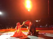 Espetáculo Disney Magic show chega a Maceió neste fim de semana