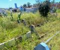Mato cobre covas e sepultamentos ocupam corredores de cemitério em Maceió; DPE cobra providências