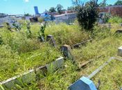 Mato cobre covas e sepultamentos ocupam corredores de cemitério em Maceió; DPE cobra providências
