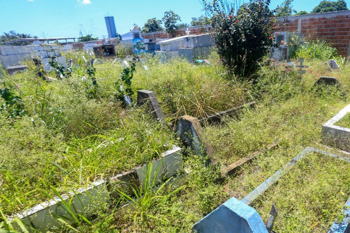 Mato cobre covas e sepultamentos ocupam corredores de cemitério em Maceió; DPE cobra providências