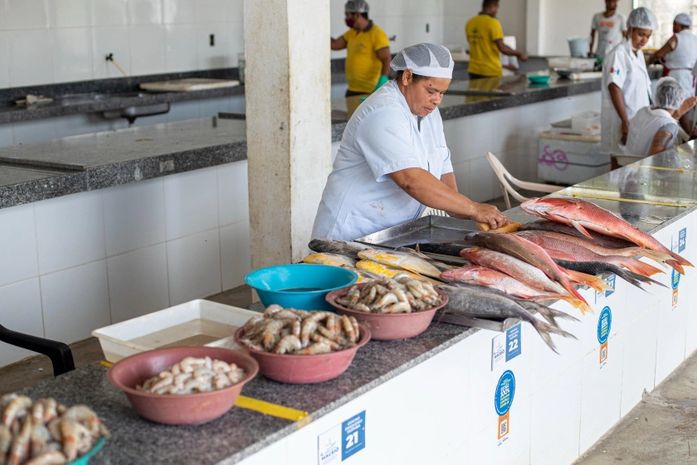 Antes do feriadão, Vigilância Sanitária orienta como escolher pescados na capital