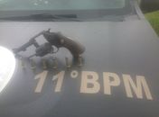 Arma apreendida com cigano em Penedo