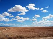 Estiagem deixa campo e plantações secas