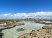 Influenciador alagoano alcança mais de 1 milhão de seguidores com divulgação de atrativos turísticos do estado