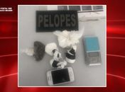 Polícia flagra droga escondida em apartamento de casal de pastores em Arapiraca