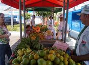 Feira de produtos orgânicos acontece nesta sexta-feira 