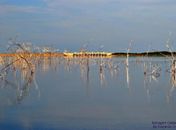 Maior seca dos últimos 100 anos provoca mudanças 