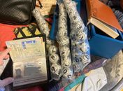 Material apreendido está sendo encaminhado para o Complexo Policial de Paulista 