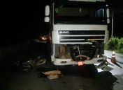 Condutor de moto morre ao colidir frontalmente com carreta na AL 220 