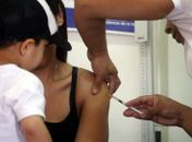 OMS vê risco de onda de febre amarela e recomenda vacina a turistas