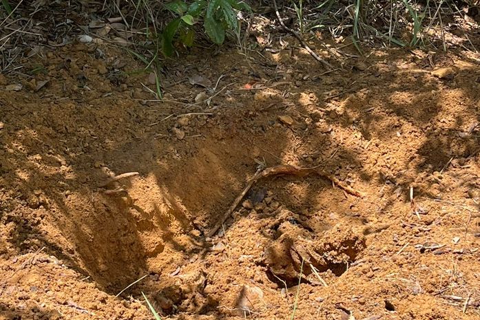 Corpo em estado avançado de decomposição é encontrado em área de mata em São Miguel dos Milagres