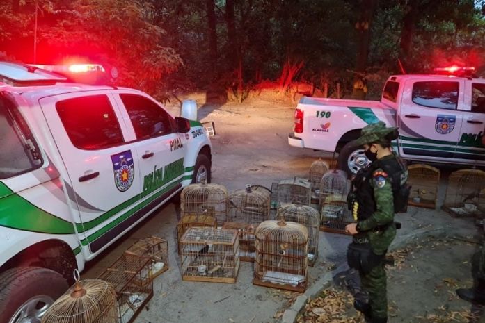 Ações foram desenvolvidas em municípios alagoanos diversos