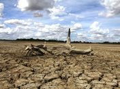 Seca em Alagoas