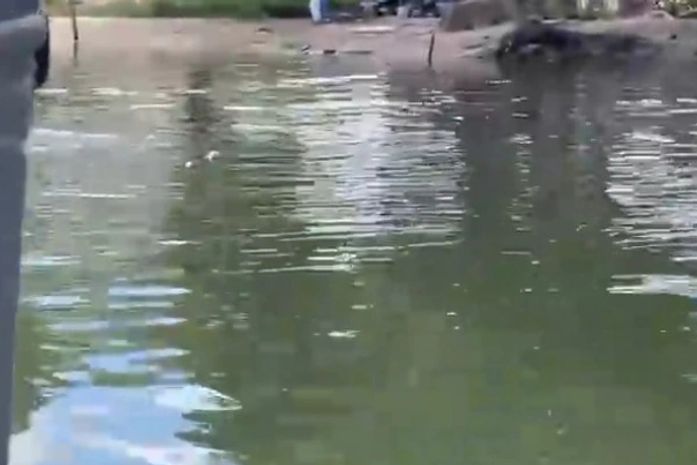 Pesquisadores encontram grande quantidade de peixes mortos na Lagoa Mundaú e iniciam análises