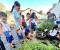 Agroecologia avança em Arapiraca com o projeto Adote uma Horta