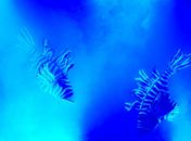 Projeto Relix volta a Alagoas ampliando a discussão de sustentabilidade e reciclagem no Estado