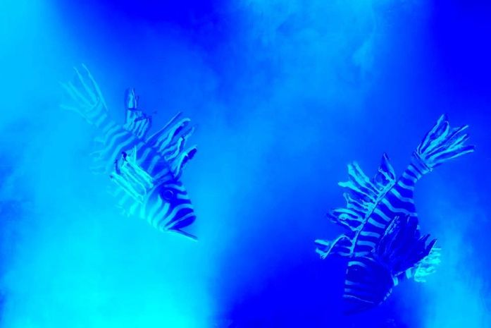 Projeto Relix volta a Alagoas ampliando a discussão de sustentabilidade e reciclagem no Estado