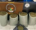 Polícia Militar apreende quase 32kg de maconha no Sertão de Alagoas