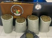 Polícia Militar apreende quase 32kg de maconha no Sertão de Alagoas