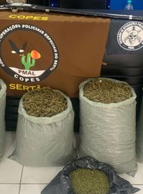 Polícia Militar apreende quase 32kg de maconha no Sertão de Alagoas