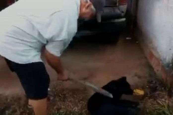 Justiça decreta prisão preventiva de homem que espancou cachorro a pauladas