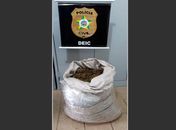 Após investigação, homem que trazia droga de Pernambuco para Alagoas é preso em operação integrada