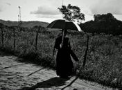  Mostra Curta Alagoas de setembro
