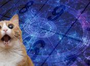 Horóscopo de Hoje: Confira o que os astros reservam para sua terça-feira