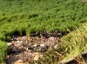 Caminhão saiu da pista e tombou na BR-104