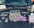 Cães farejadores ajudam PM a encontrar armas e drogas escondidas em mata no Agreste