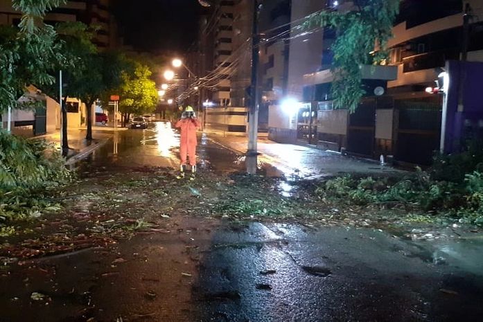 Árvore cai na deputado José Lages na Ponta Verde
