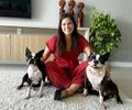 Cada vez mais pet friendly: Maceió amplia espaços e serviços para quem faz questão de viver ao lado dos animais de estimação

