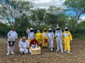 Apicultura ganha destaque com ampliação da cadeia produtiva do mel em Alagoas