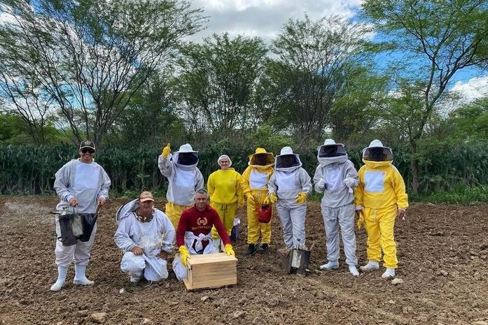 Apicultura ganha destaque com ampliação da cadeia produtiva do mel em Alagoas