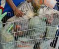 Procon Maceió divulga pesquisa com itens da cesta básica