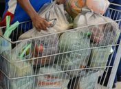 Procon Maceió divulga pesquisa com itens da cesta básica