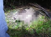 Jovem encontrado concretado em cova rasa tinha passagem por tráfico de drogas