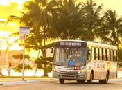 Domingo é livre: Prefeitura de Maceió já garante gratuidade nos coletivos desde abril