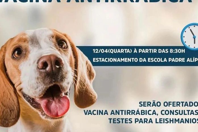 Prefeitura de Porto de Pedras promove dia D de vacina antirrábica