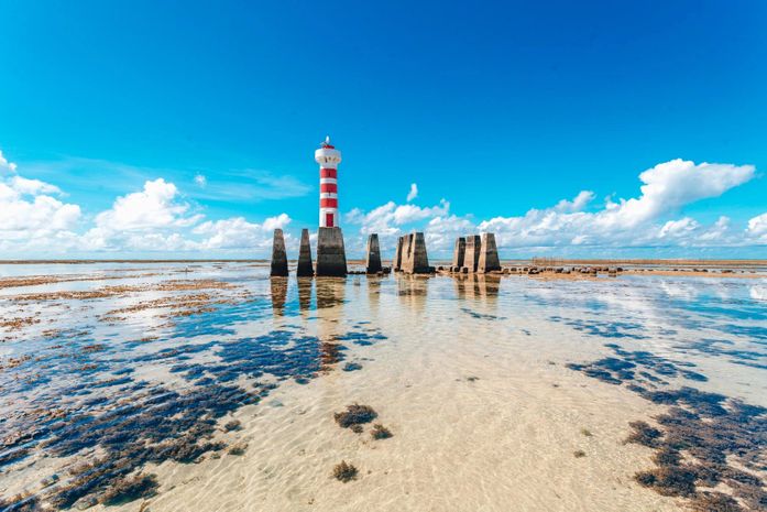 Destino Alagoas é divulgado nos principais aeroportos do país