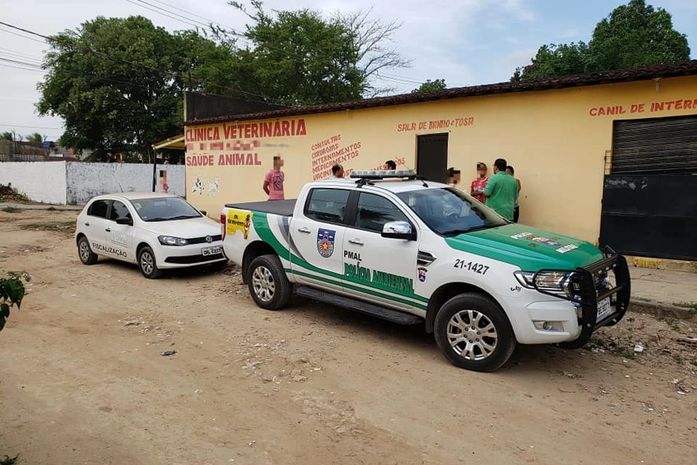 BPA e CRMV flagram clínica veterinária clandestina no Eustáquio Gomes