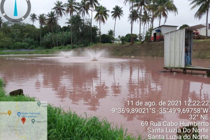 Lagoa de estabilização do empreendimento apresenta coloração avermelhada por proliferação de algas