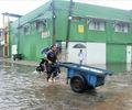 Sesau acende o alerta contra a leptospirose diante dos temporais que atingem Alagoas
