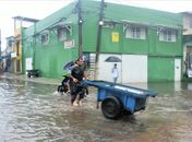 Sesau acende o alerta contra a leptospirose diante dos temporais que atingem Alagoas
