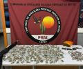 Homem é preso com armas e mais de 370 papelotes de maconha em Água Branca