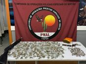 Homem é preso com armas e mais de 370 papelotes de maconha em Água Branca