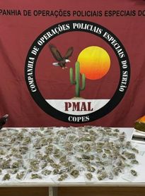 Homem é preso com armas e mais de 370 papelotes de maconha em Água Branca
