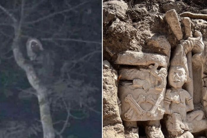 Presidente do México causa polêmica ao compartilhar foto afirmando que ‘elfo da floresta’ existe