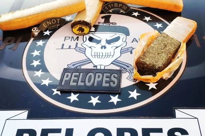 Maconha apreendida