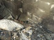 Residências são destruídas durante incêndio em São Miguel dos Campos